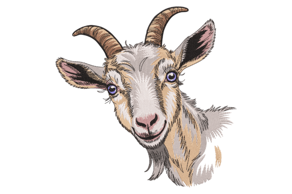 Billy Goat: A Designer's Review for Boutique Sweatshirts