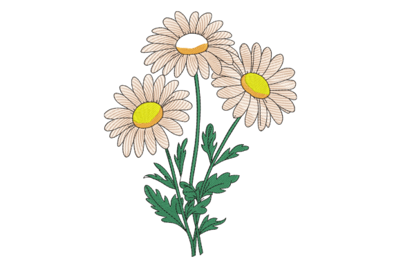 Blooming Daisies: A Designer’s Review for Real Projects