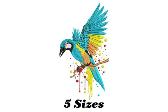 Colorful Bird: A Designer’s Review for Boutique Sweatshirts