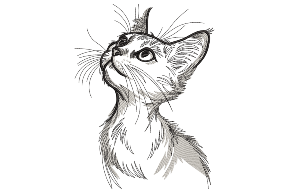 Reviewing the Curious Kitten Looking Up Design
